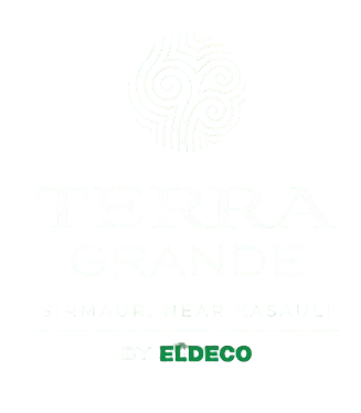Terra Grande